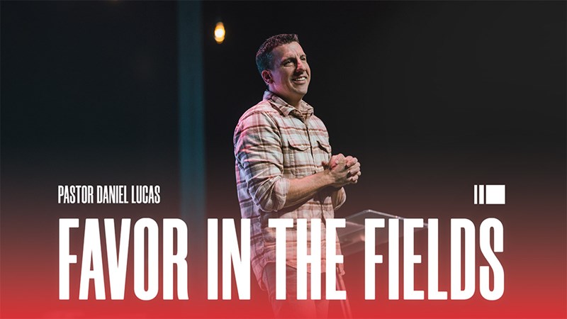 Favor In The Fields